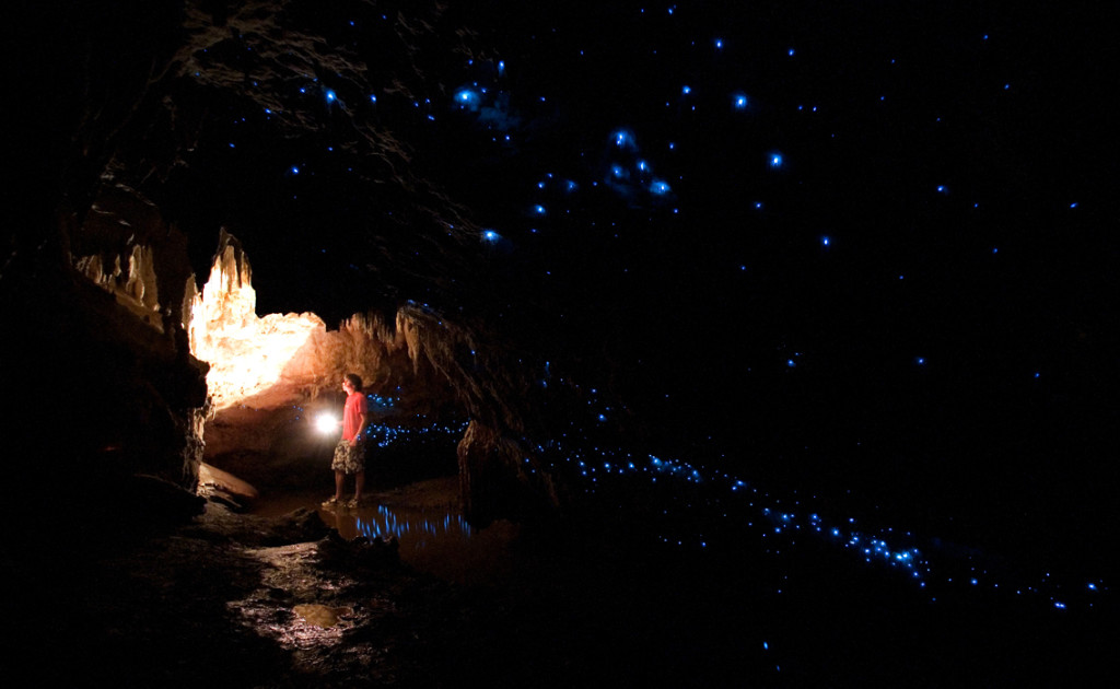 Photo site @ Nikau Cave