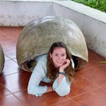 Carapace de tortue qui pèse (très) lourd