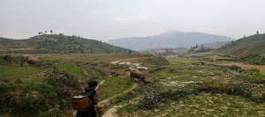 PHOTOS : HANOI & SAPA