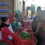 Vendeuse de feuilles de coca