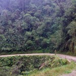 Arrivée dans la partie tropicale de la route