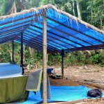 Nos moustiquaires pour la nuit dans la jungle