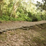 Une route de pierre parfaitement plate vieille de 1000 ans